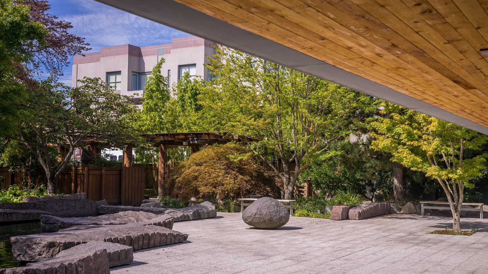 Courtyard garden with trees & bushes amidst stone pathways under a partially visible wooden pergola.
