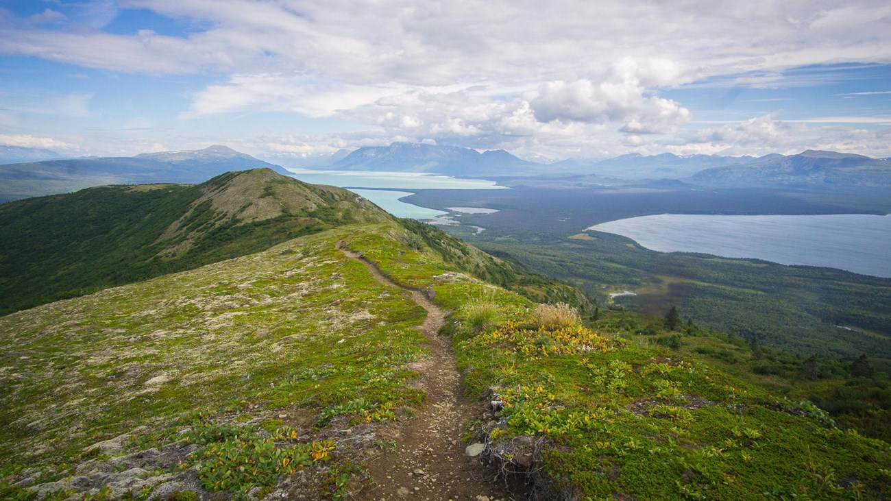 A footpath through green tundra with expansive views of two lakes behind