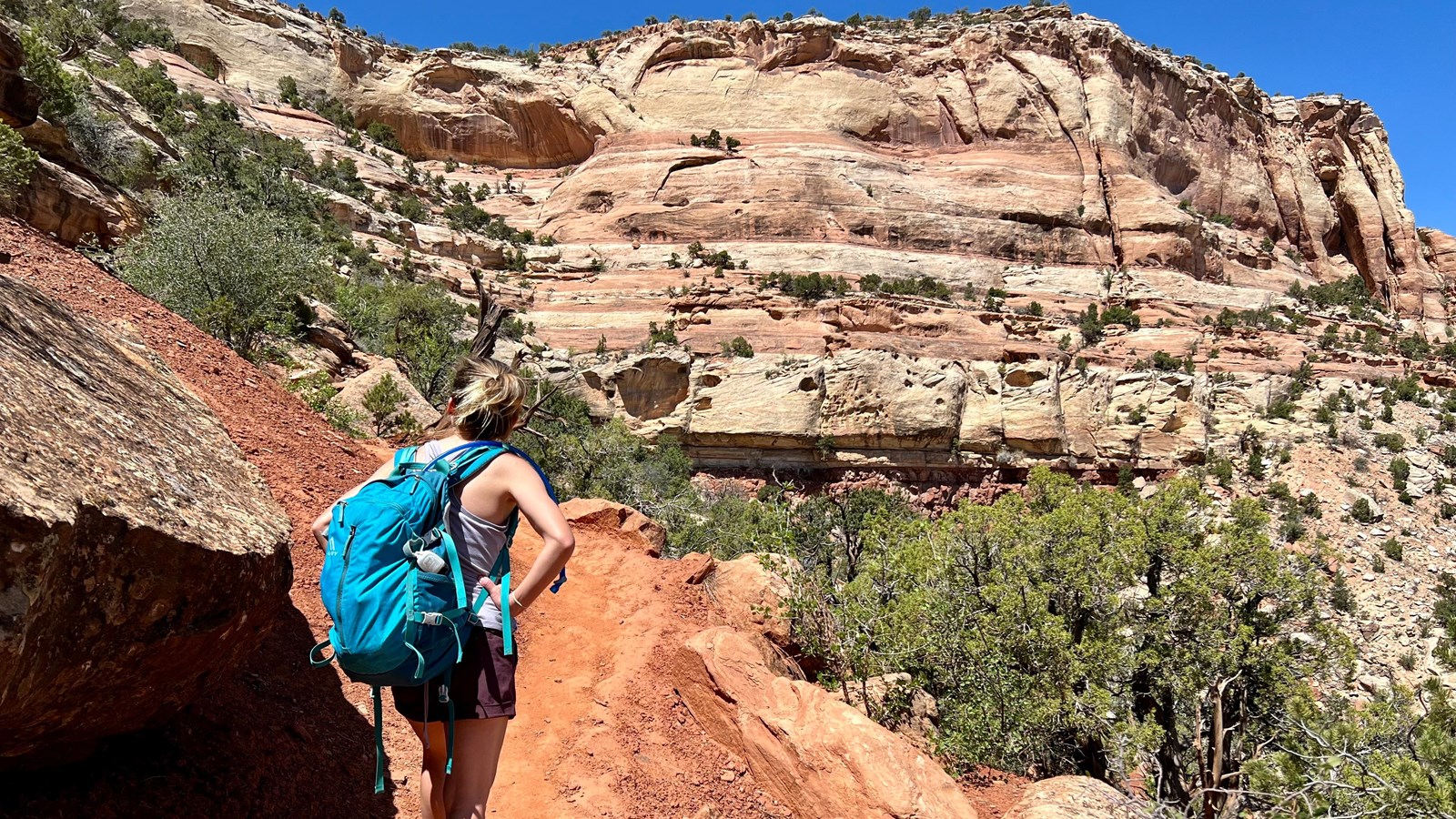 hiker with blonde hair and turquoise backpack looks uphill from sandy trail at red orange sandstone