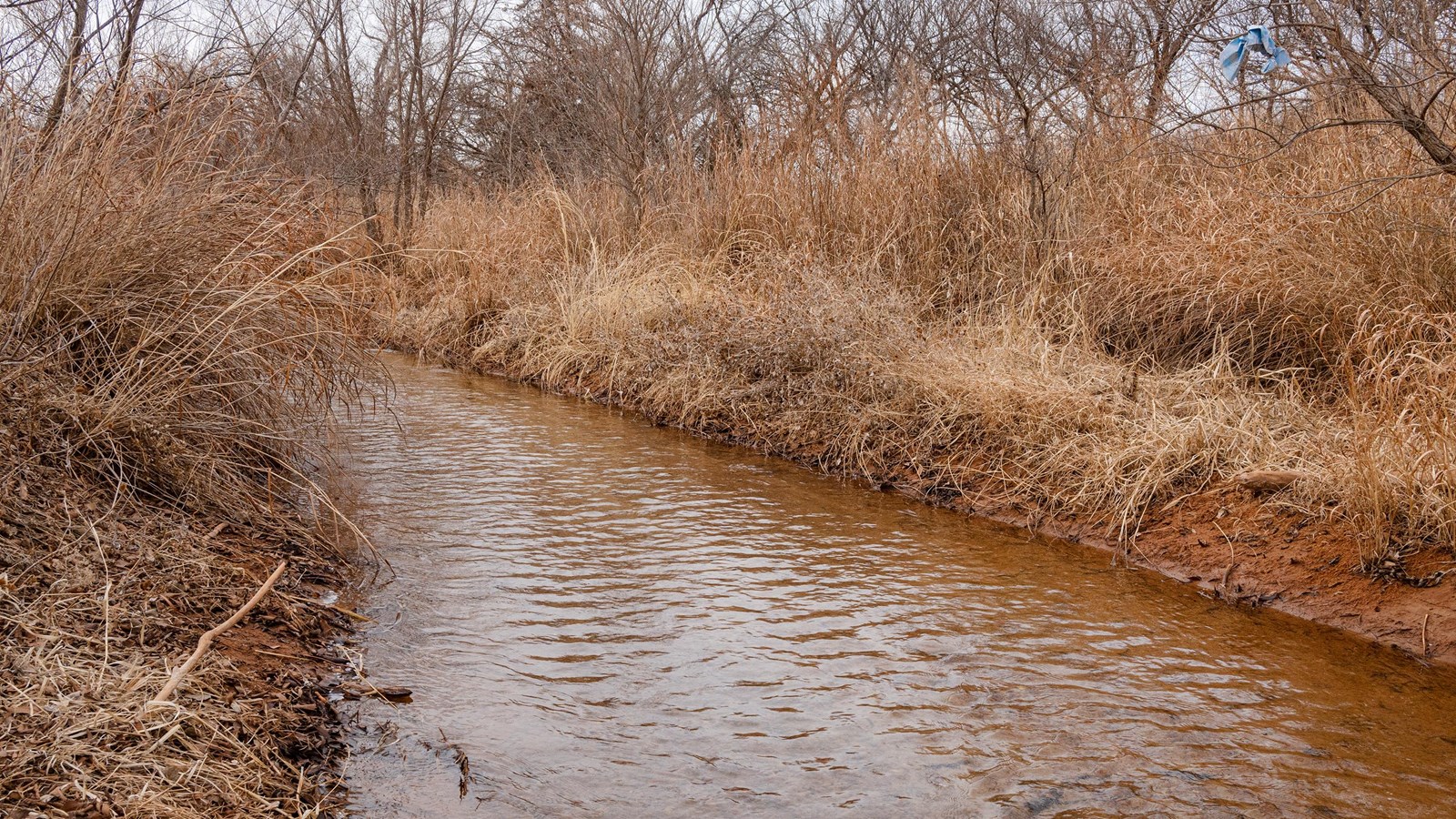 A small river running between grassy banks surrounded by trees.