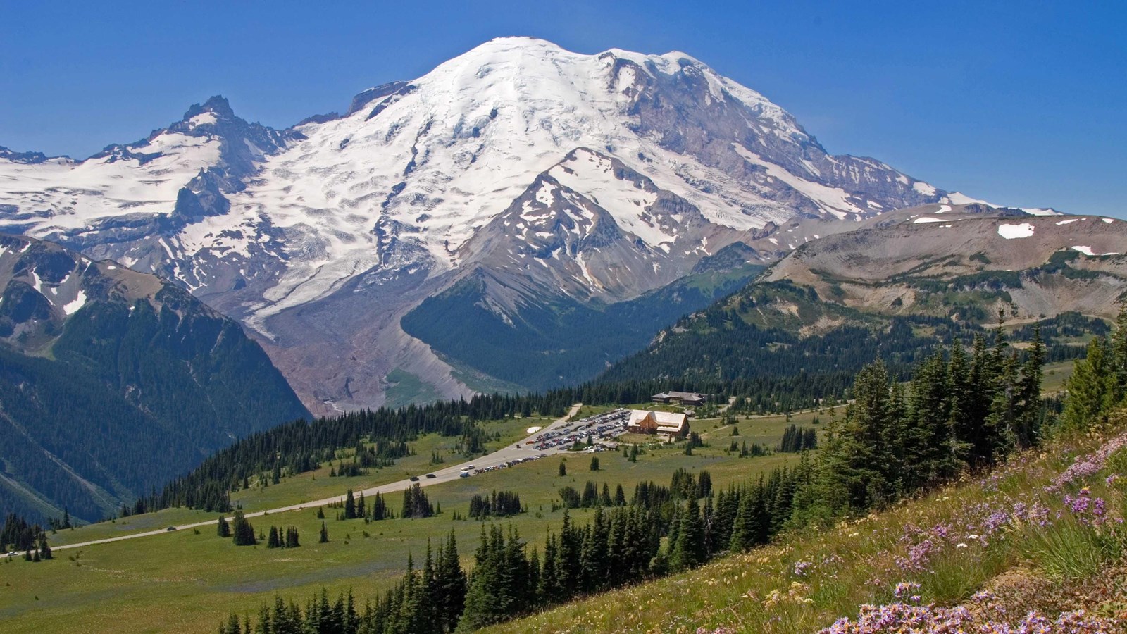 Mount Rainier with meadows dotted with wildflowers and trees leads to a parking lot and buildings.