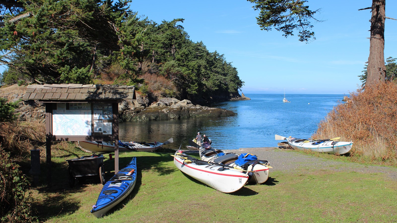 Picture of four kayaks sitting on a lawn beside the waters
