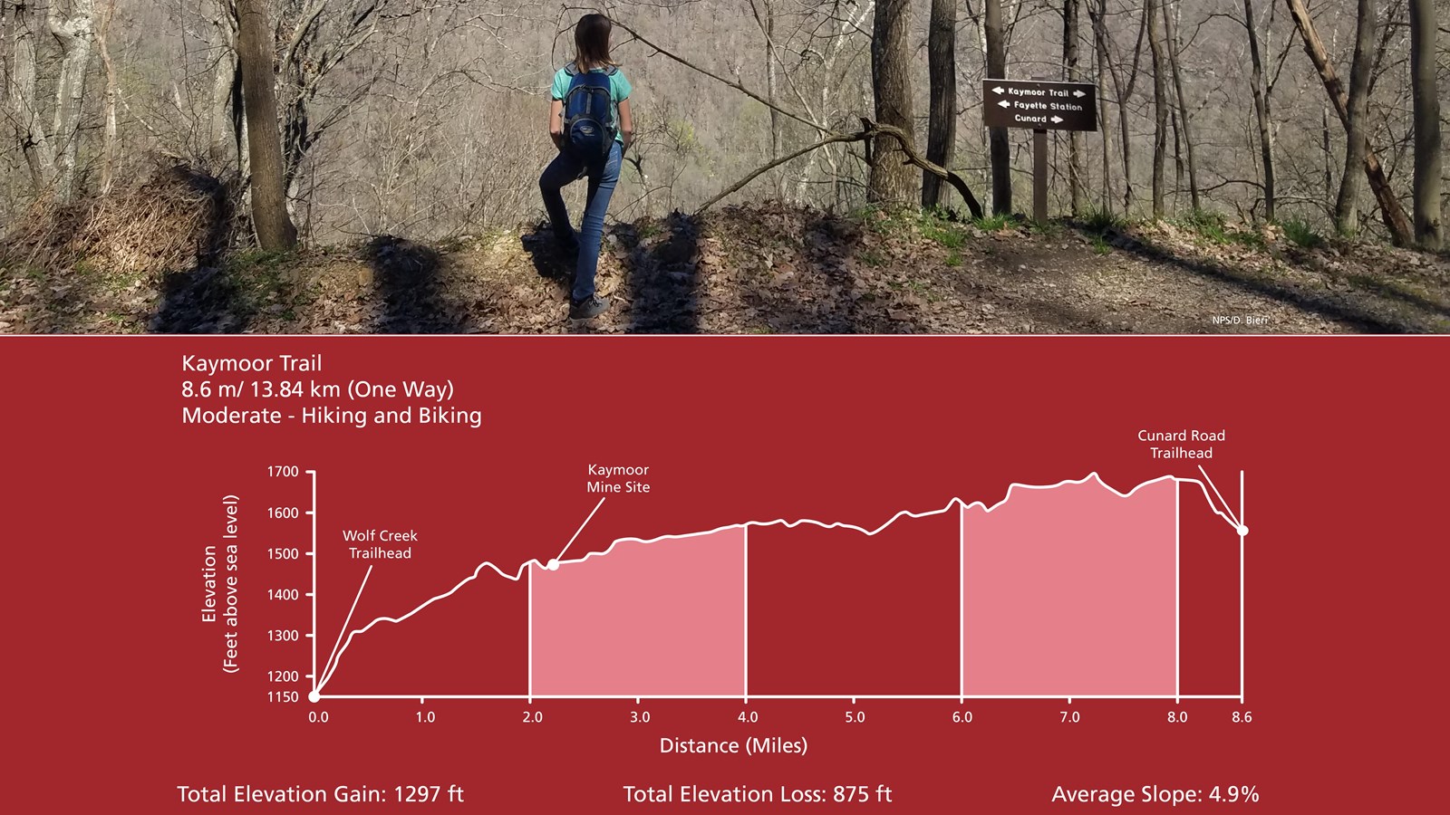 A young hiker overlooks the gorge along a forest trail, below, the elevation change of the trail