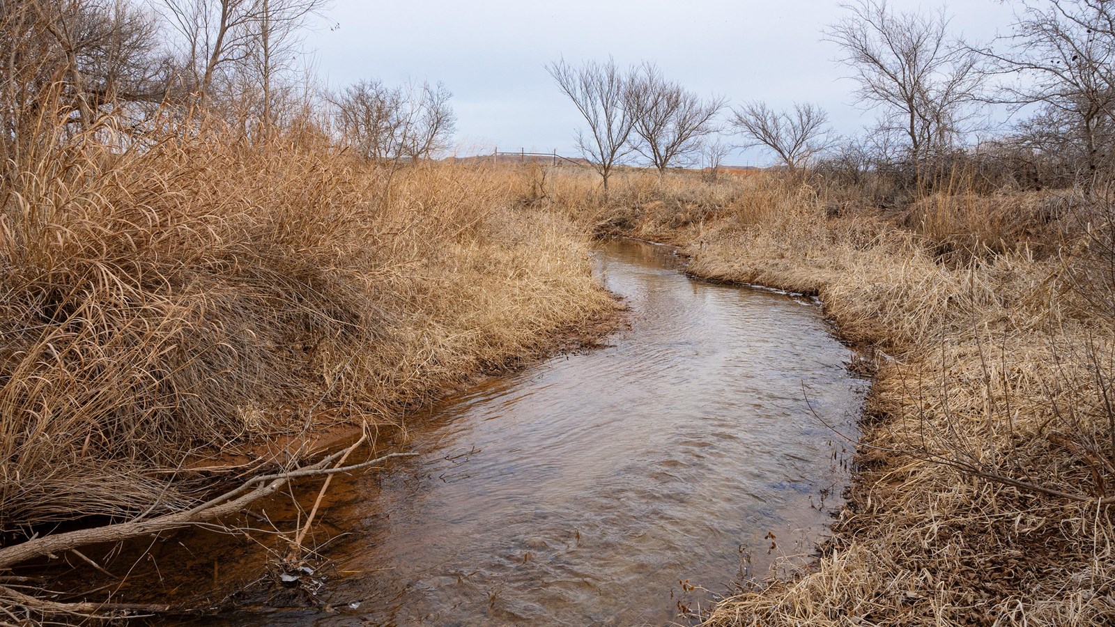 A small river running between grassy banks surrounded by trees under a cloudy sky.
