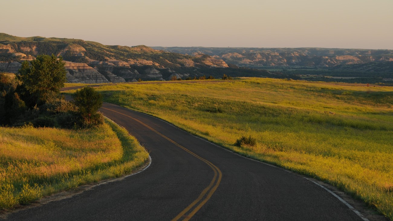 A road curves out of sight around some buttes. Yellowish grass grows on both sides of the road.