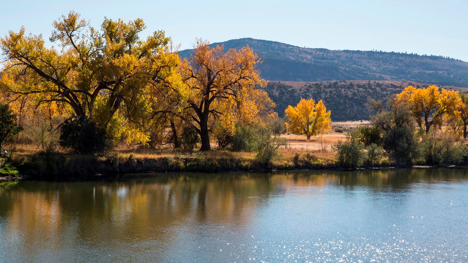 Golden colored trees line a still river.