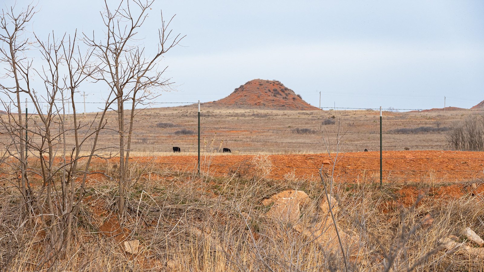 A red hill rising out of a grassy field under an overcast sky.