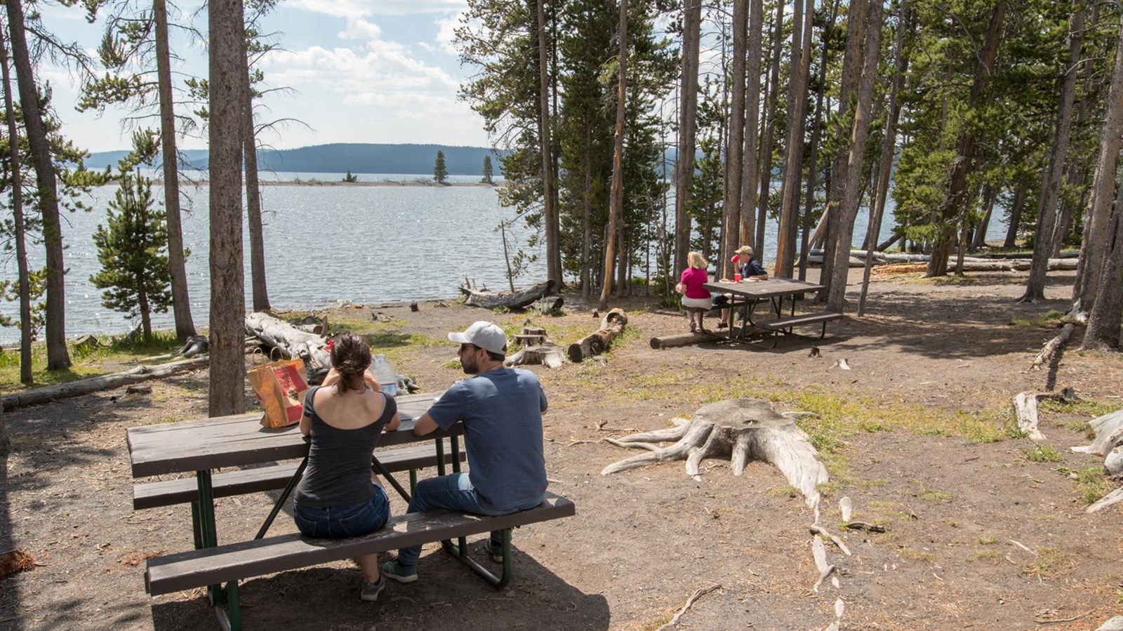 People picnicking at tables in a forested area near a lake shore