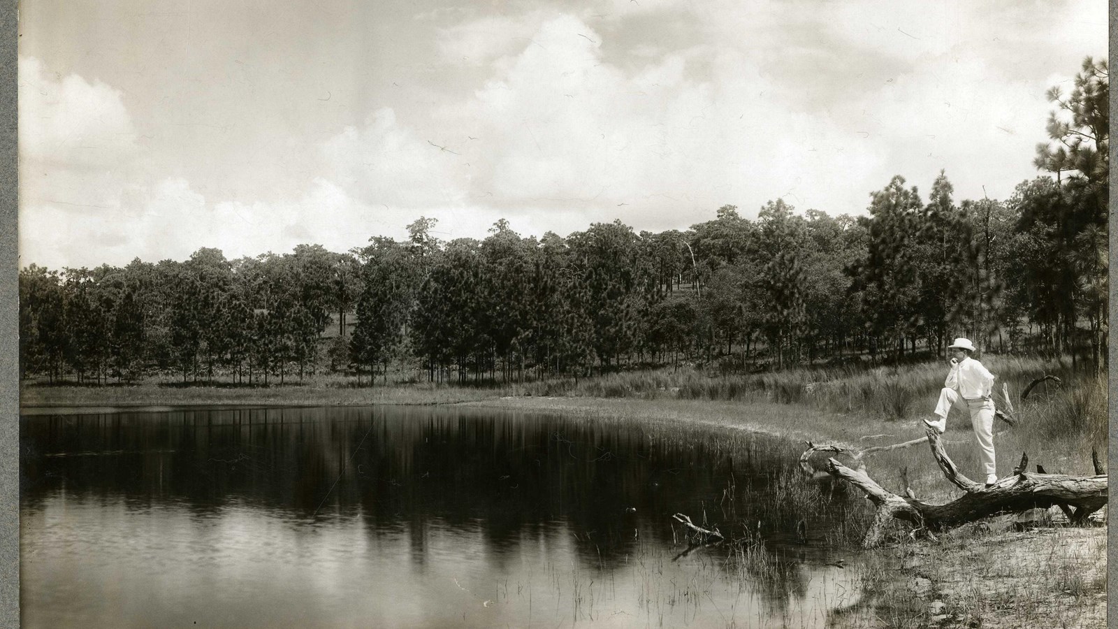 Black and white of body of water with trees around edge, and man in white suit leaning over