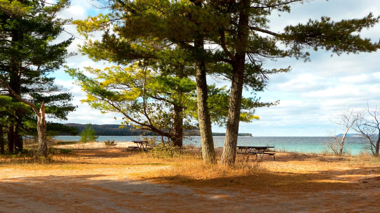 Picnic table under a tall pine tree with large lake in background