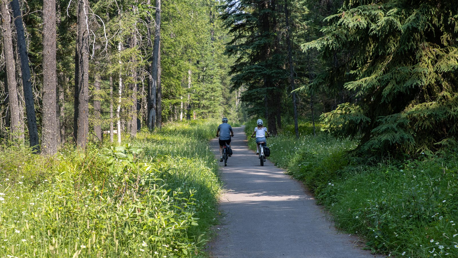 Two people in helmets on bikes cycle down a paved path with trees and grasses on either side.