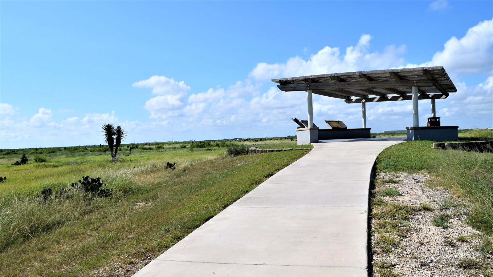 Concrete sidewalk leading to overlook covered with a wooden pergola.