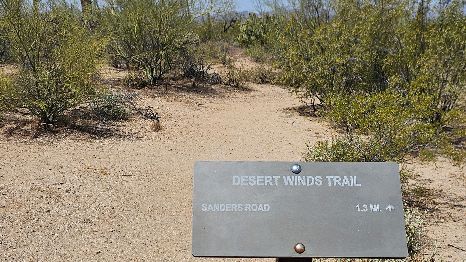 A small metal trail sign in the lower right, behind it and into the distance is desert scrub land.
