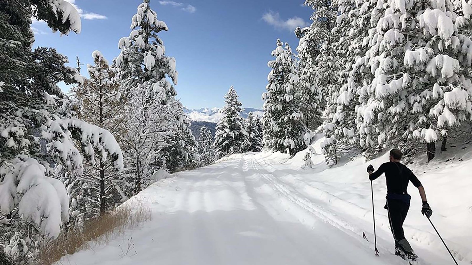 A snow-covered road surrounded on both sides by trees