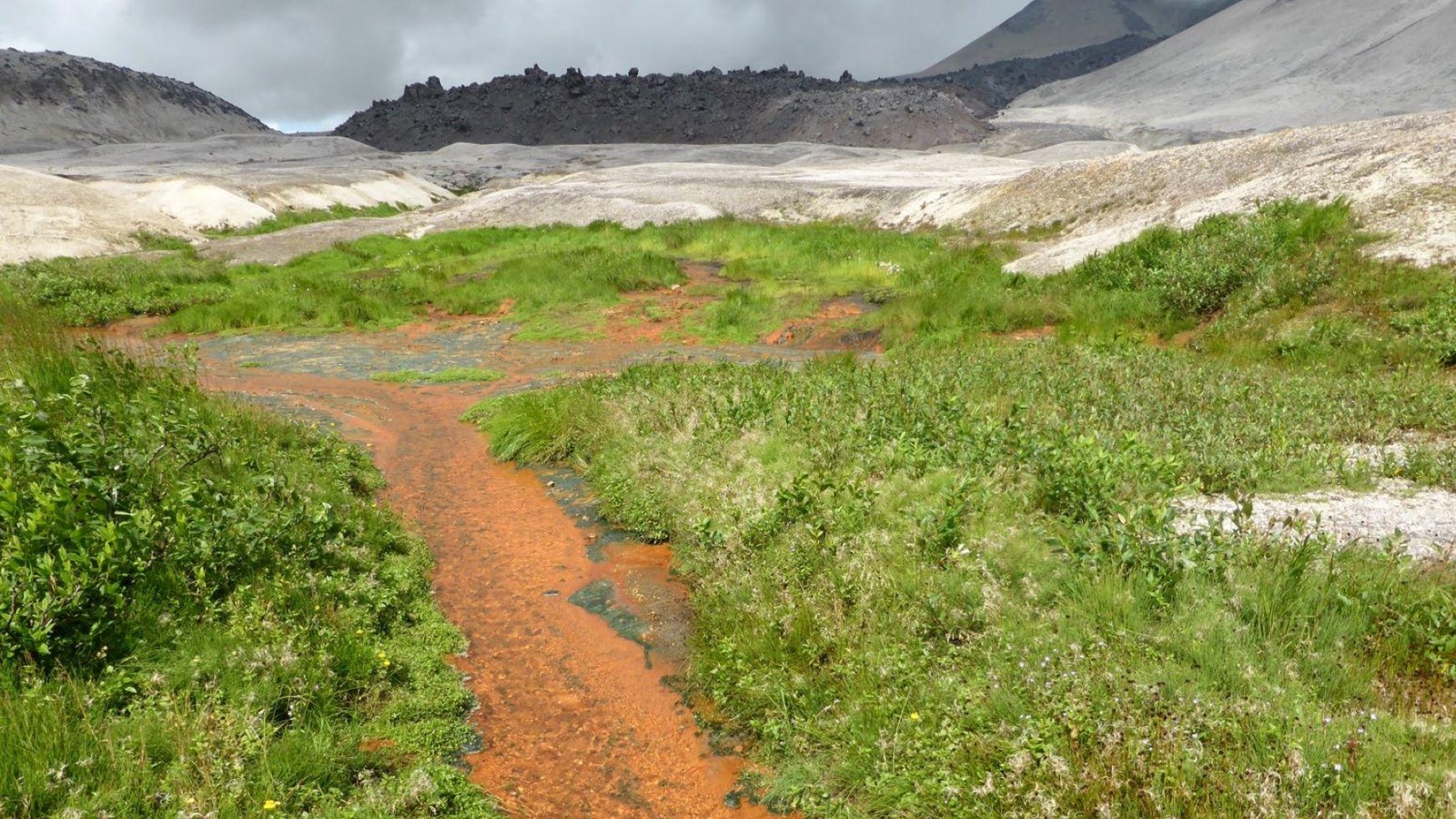 a bright orange stream winds through a grassy area of a volcanic ash valley.