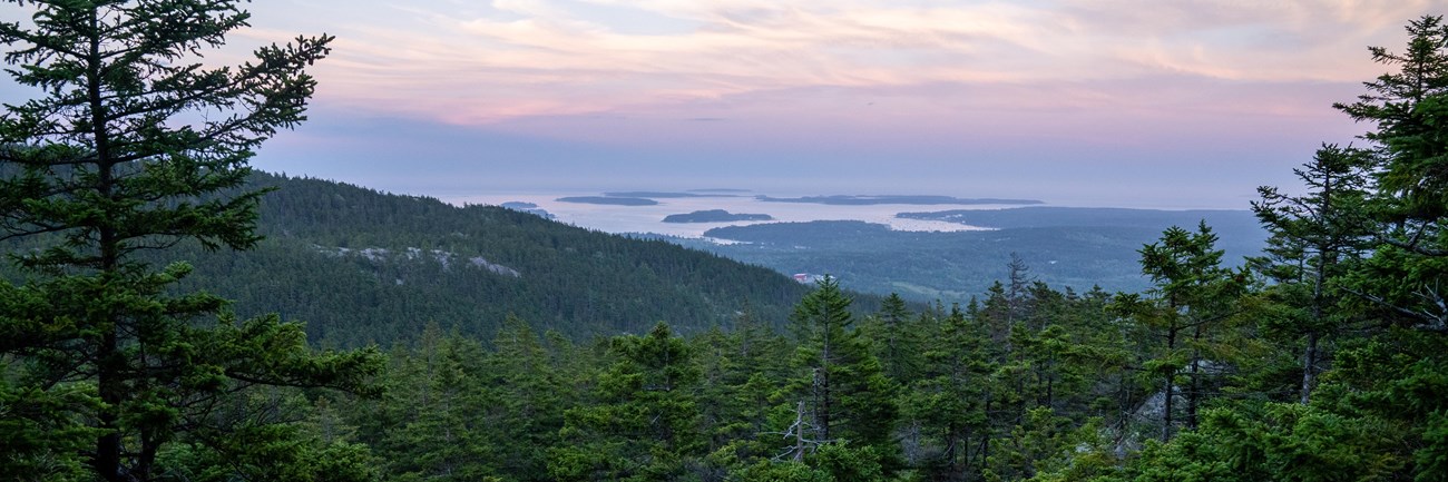 Sunset view over a forest and mountains