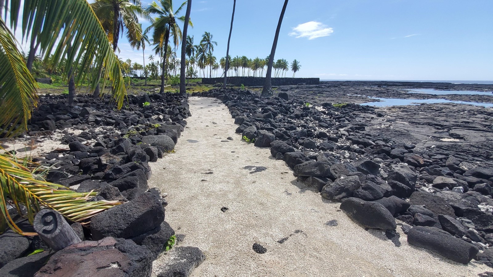 A white coral pathway extends between black lava rock with heiau platform and coconut trees