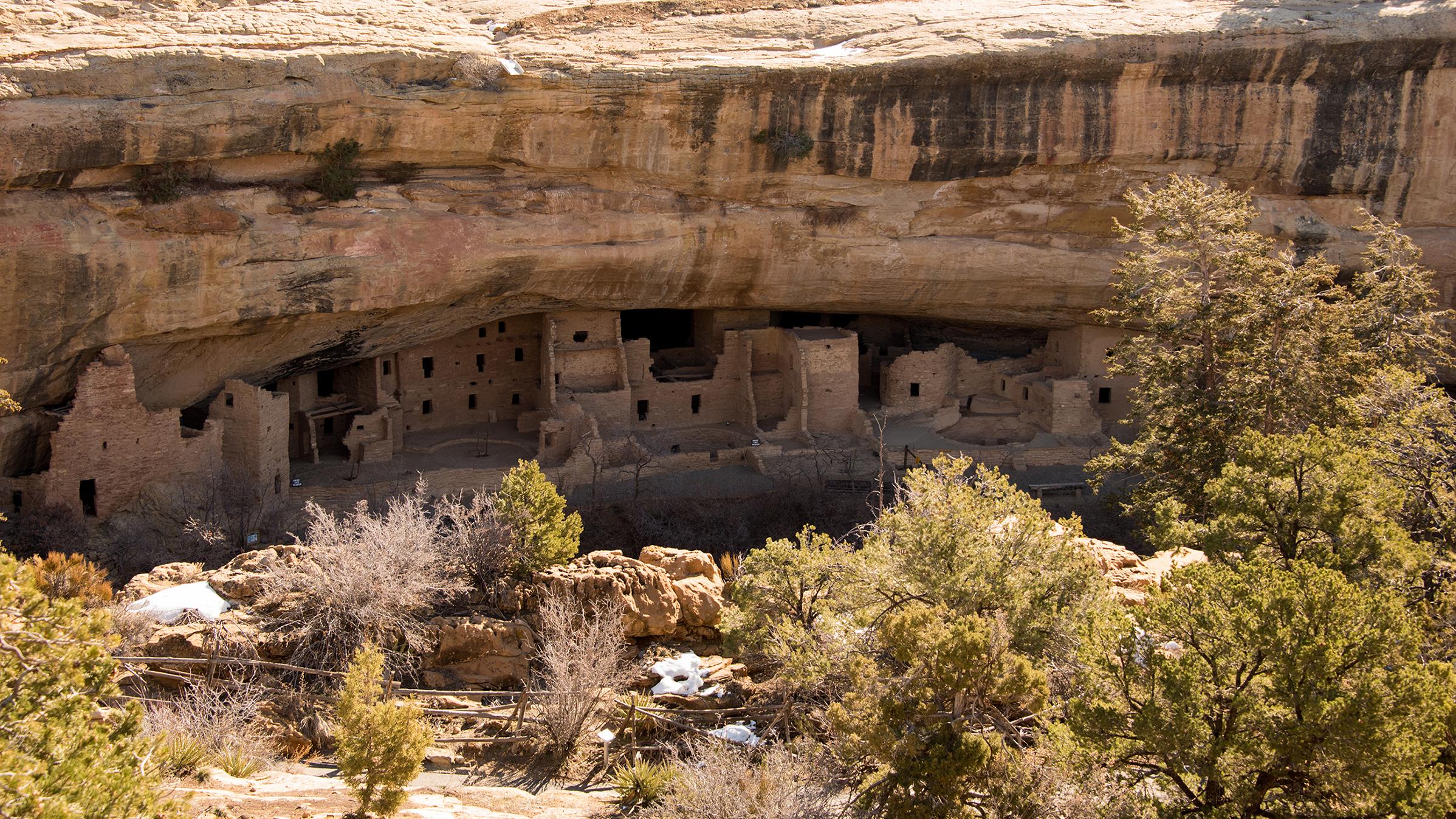 View of Spruce Tree House