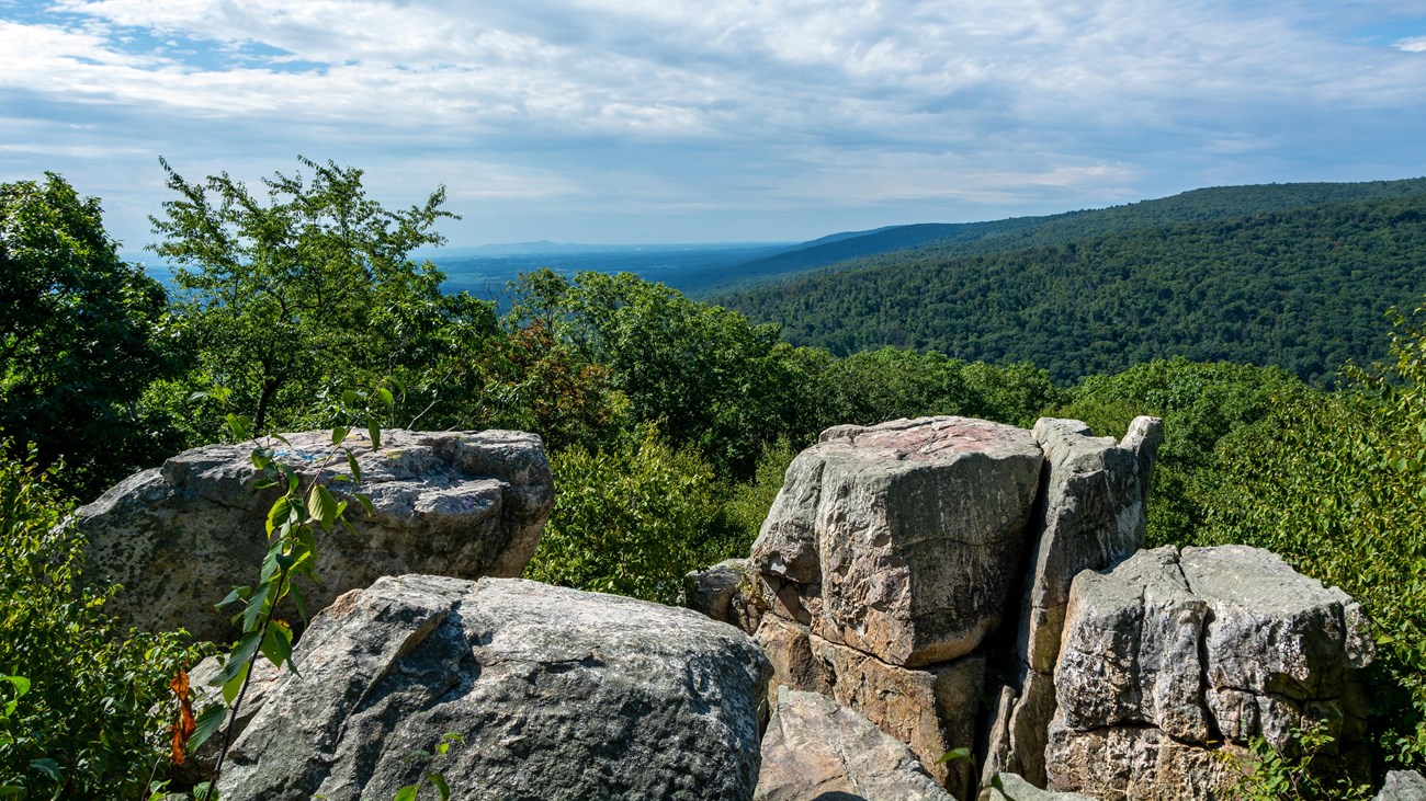  A large rocky outcrop overlooking a summertime forest.