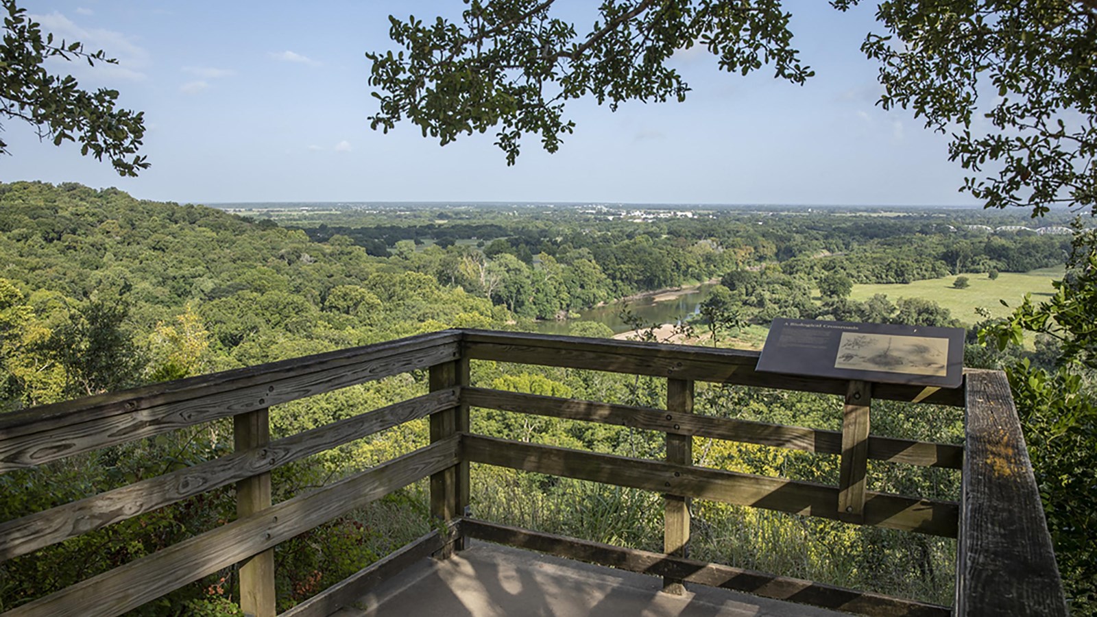 A wooden patio overlooking a green, leafy forest.