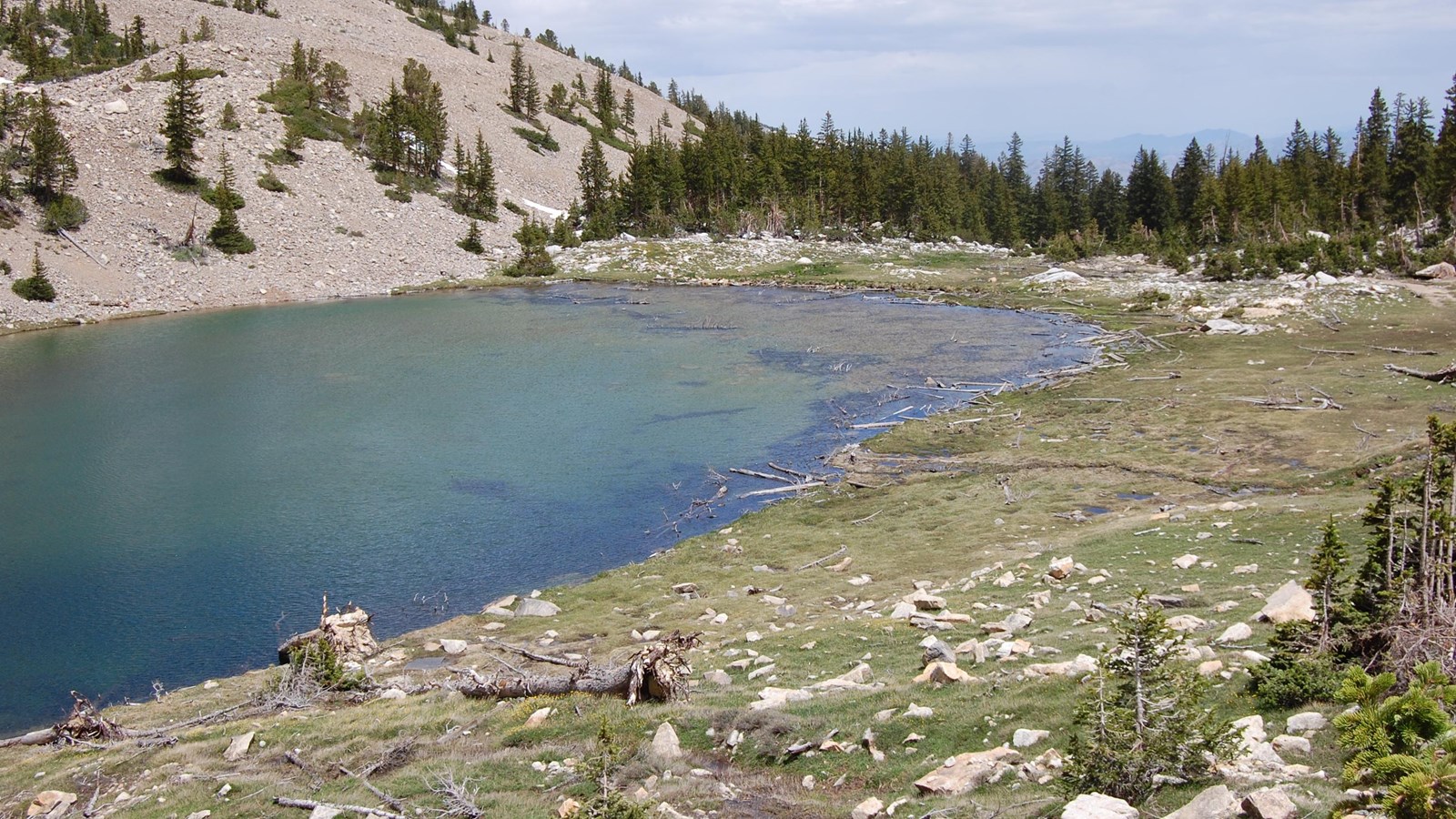 Mountain lake with downed trees on shore line