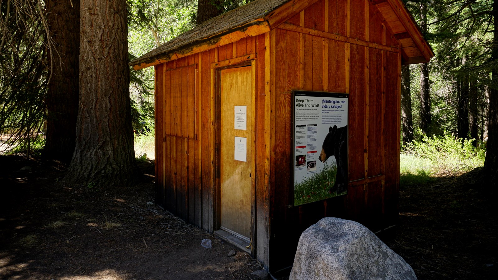 A wooden building sits next to a tree. On the building is a sign warning about bears
