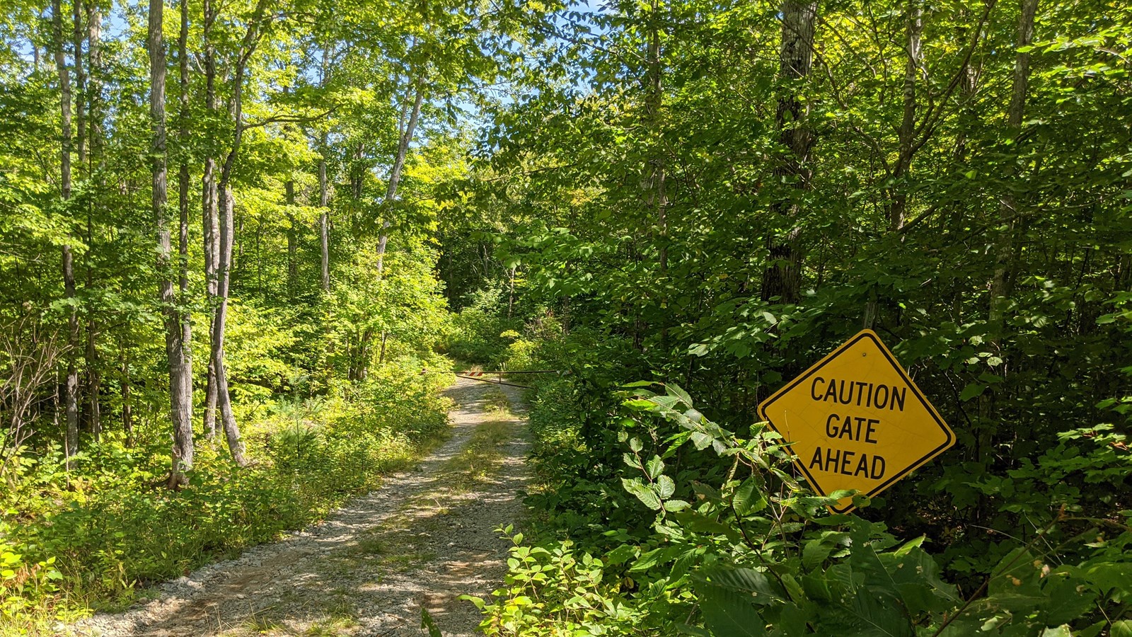 A gravel and dirt trail at Haskell Gate that leads into the woods.