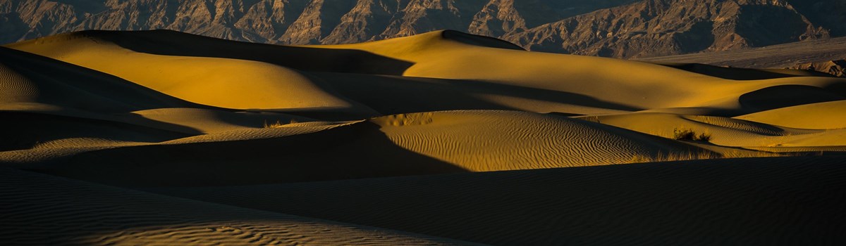Tawny, shaded dunes extend out to distant desert mountains.