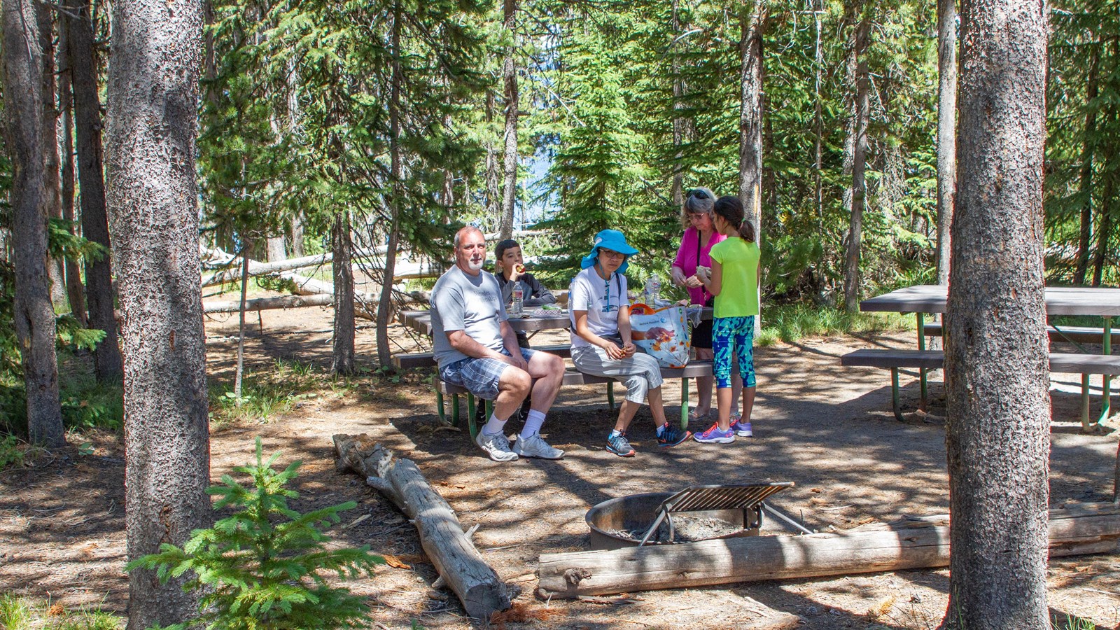 Five people eating at a picnic table in the woods.
