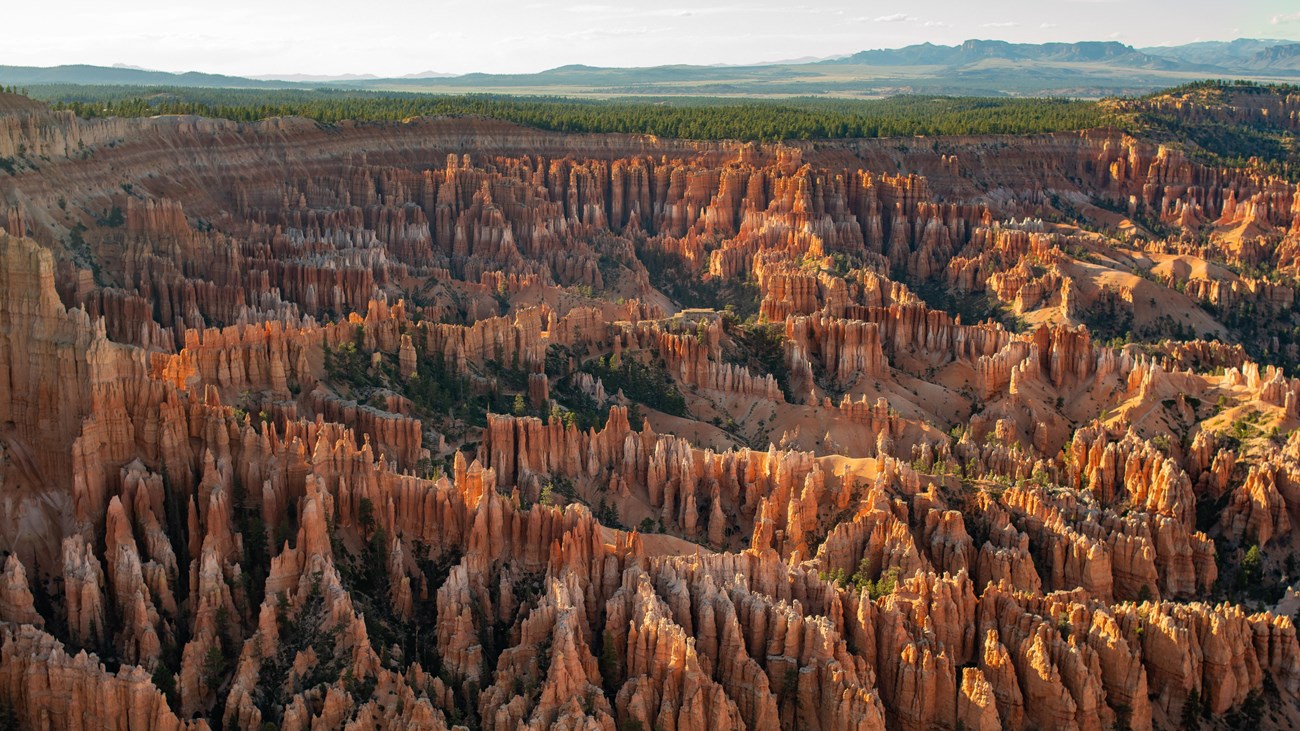 A landscape of red rocks at sunrise.