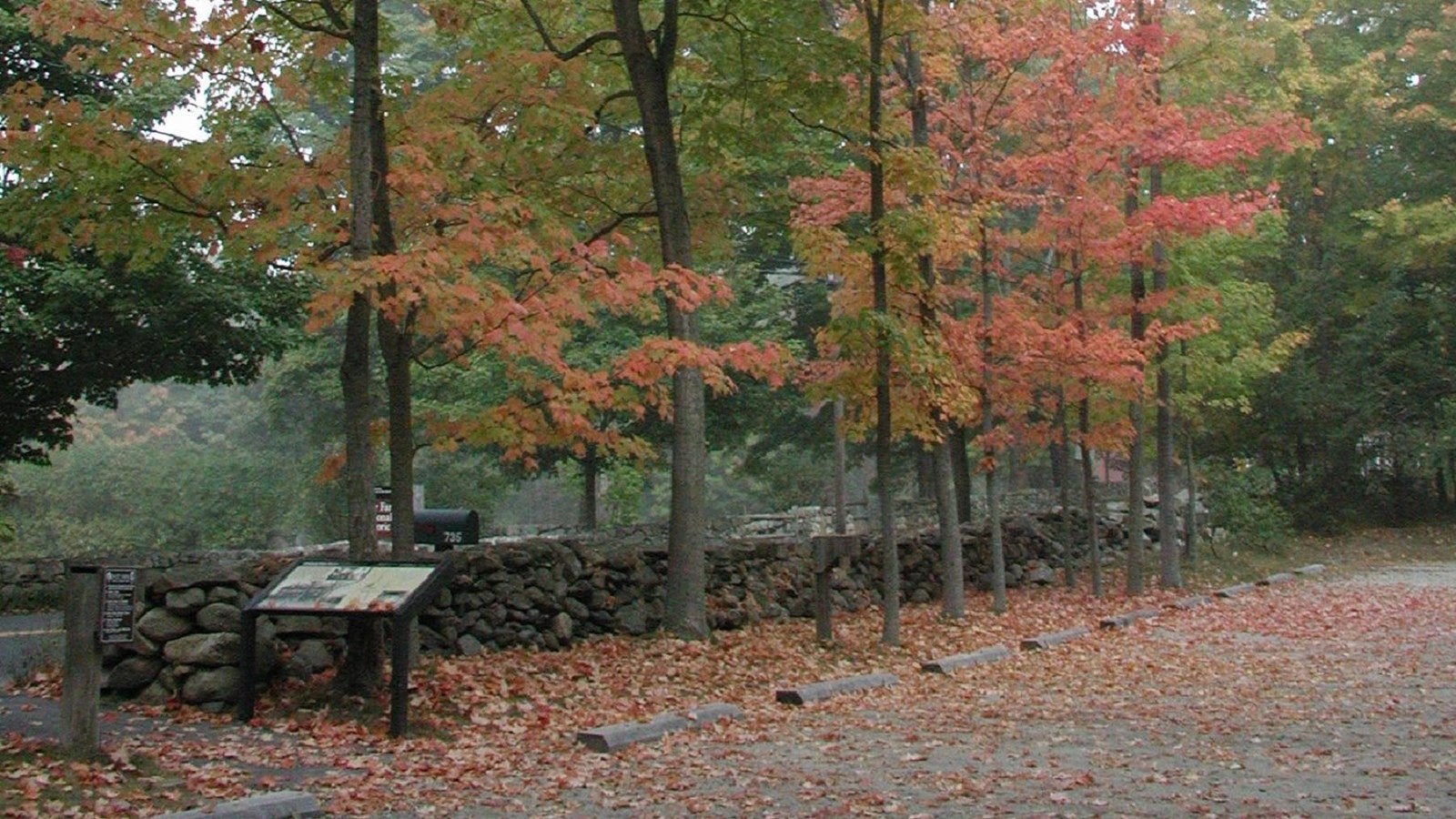 An empty parking lot in the fall with orange and yellow leaves on the trees.