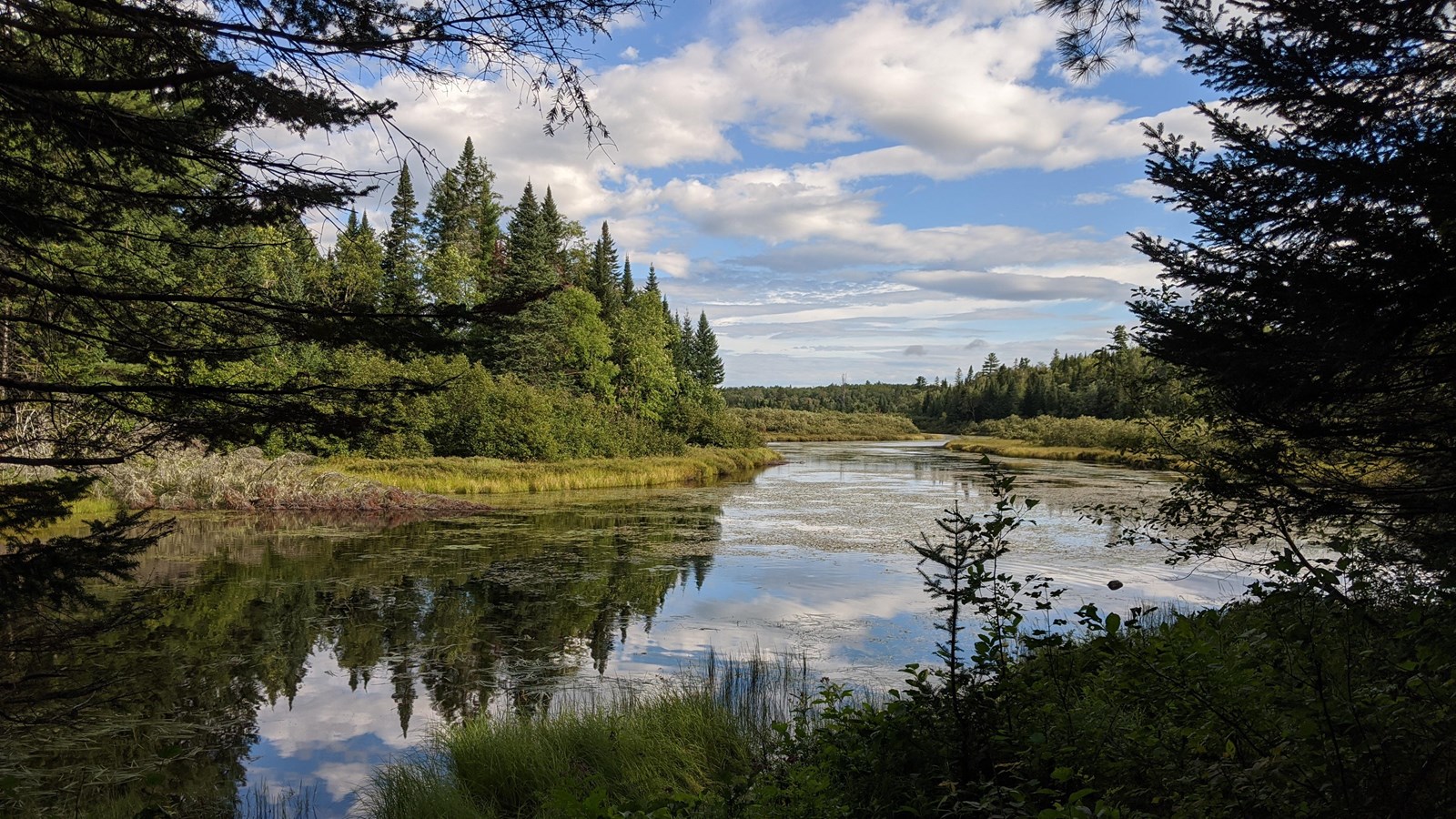 A view of large wetland surrounded by trees. The still water reflects a cloudy blue sky.