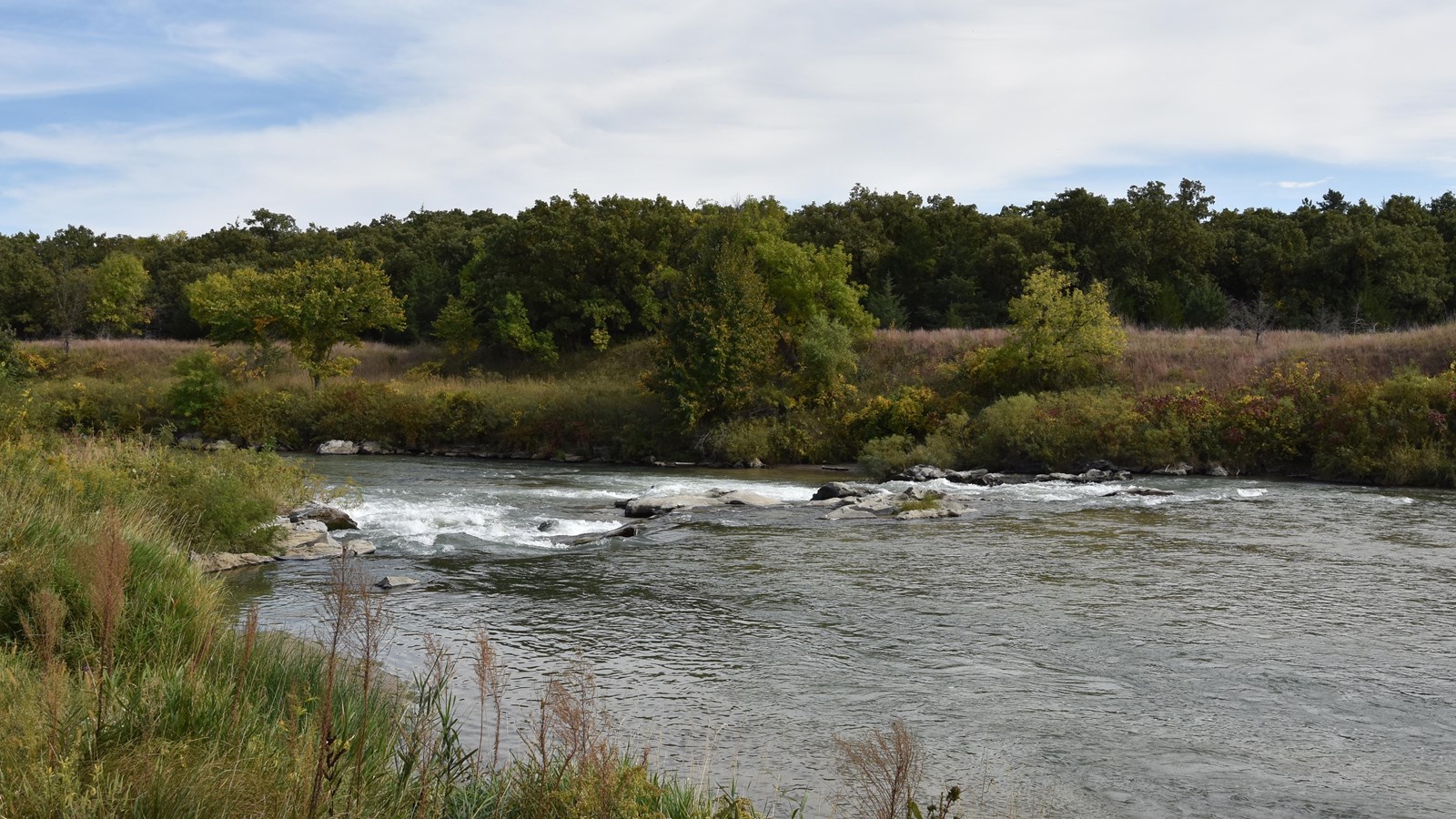 Rocks and a ledge in the middle of the river, stretches from bank to bank.