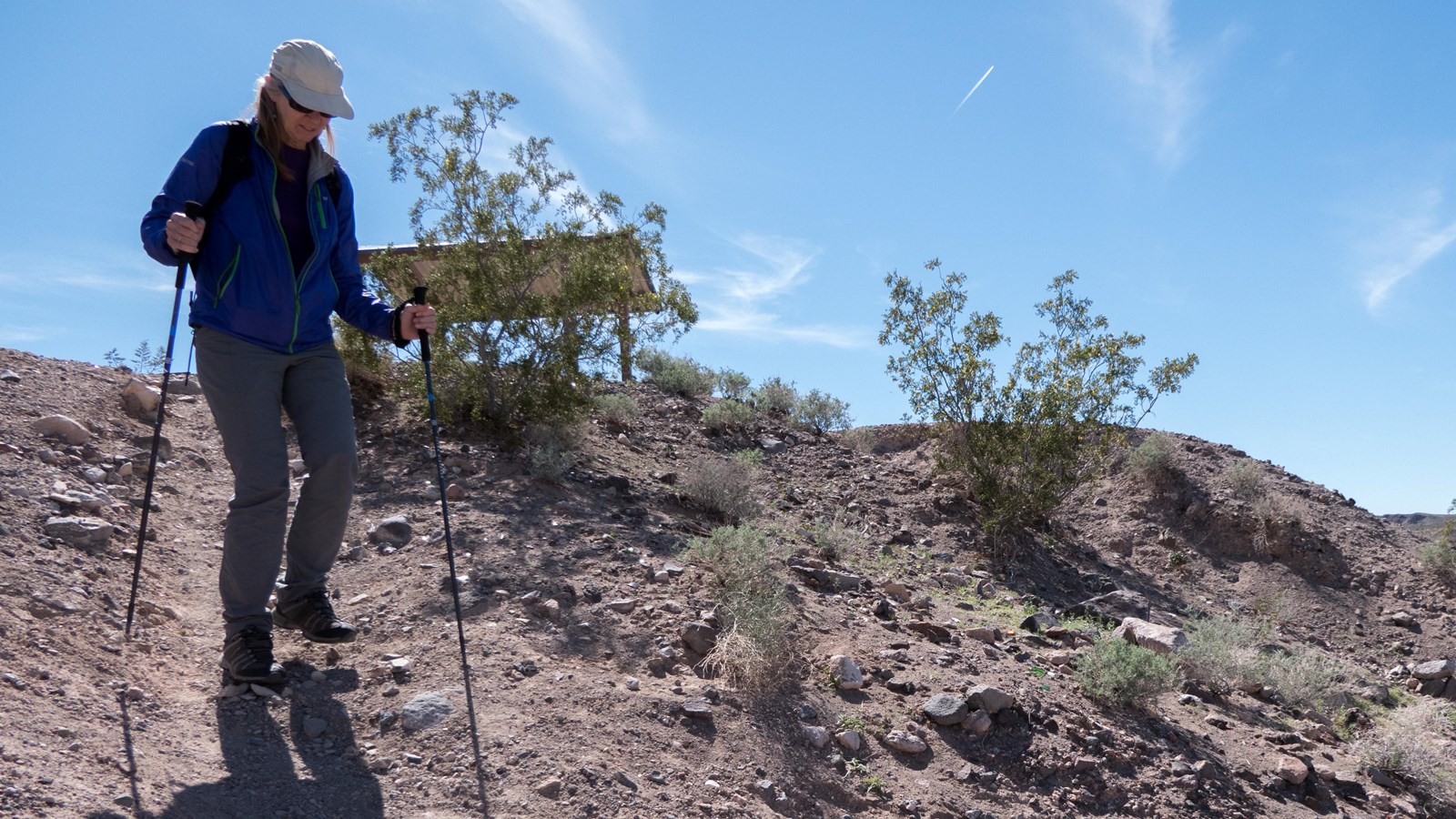 Person hiking down arid slope with desert vegetation. 