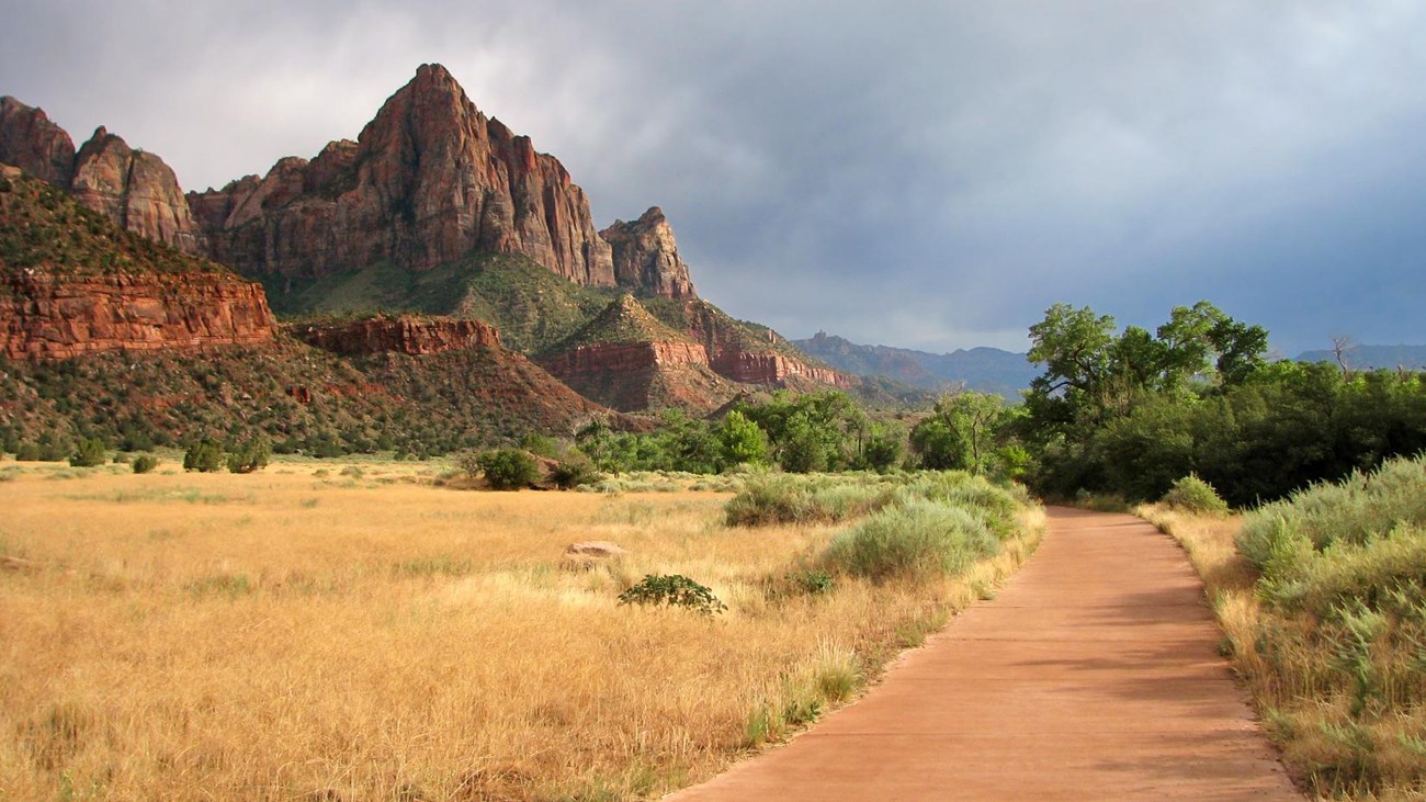 A tan, paved trail cuts through a meadow of yellow grasses toward a triangular sandstone mountain.