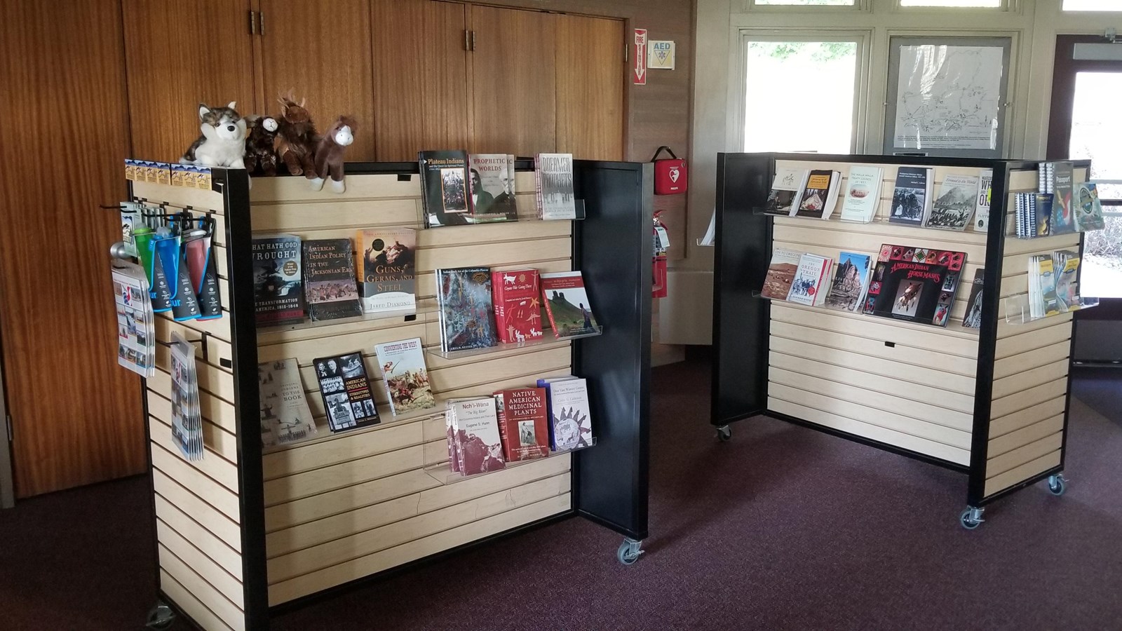 Two shelved carts holding books, toys, and travel items for sale