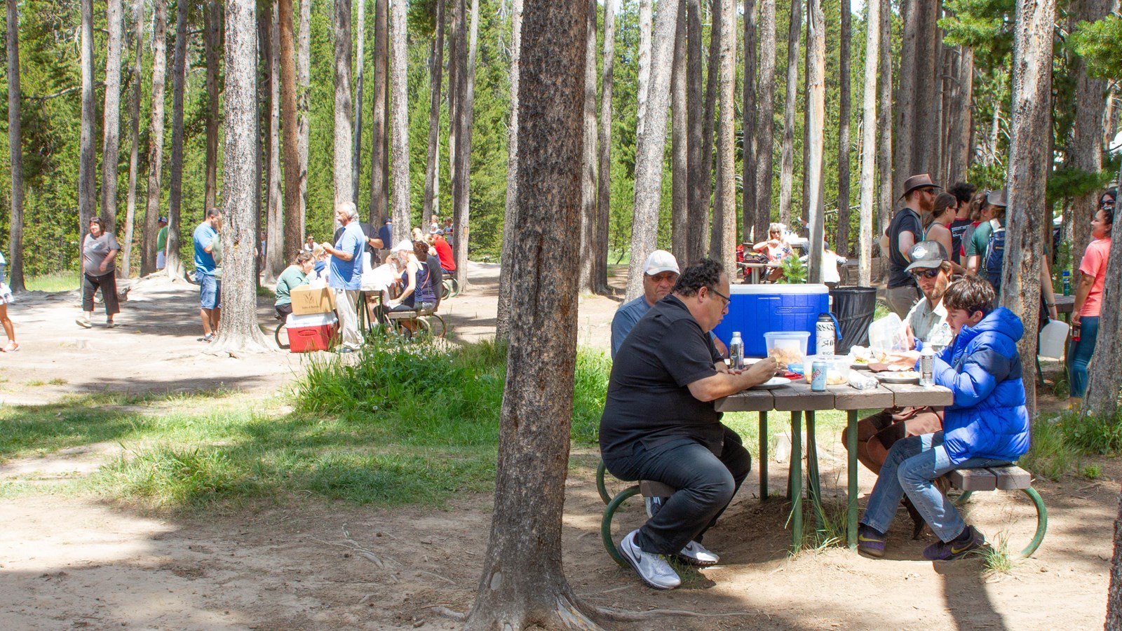 Picnic tables with people sitting in a forested area