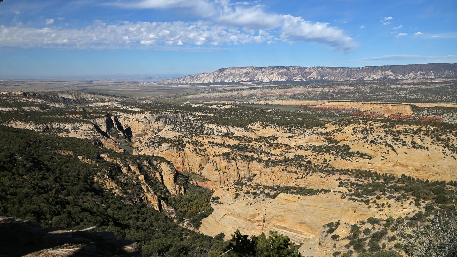 The western view from Plug Hat Butte overlooking canyons.
