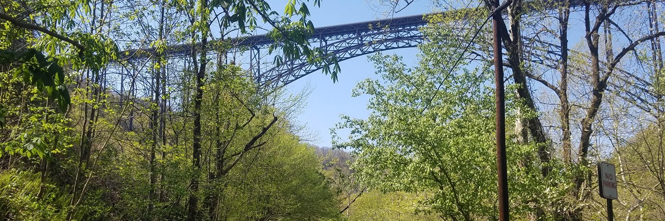 road passing under a bridge