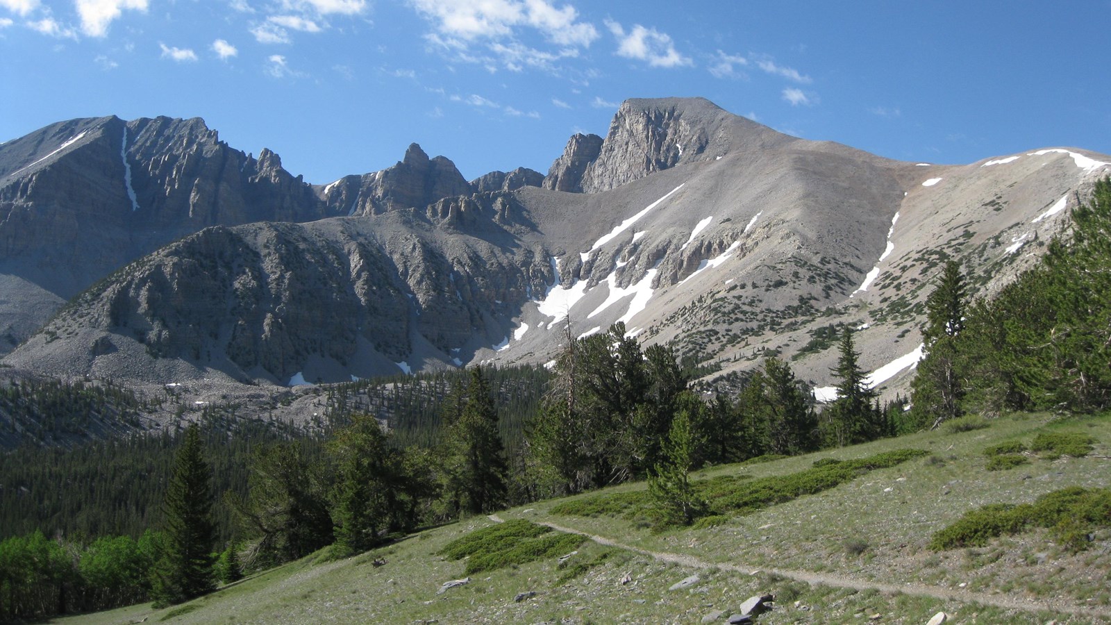 View from the summit trail of wheeler peak with a green meadow and grey mountains