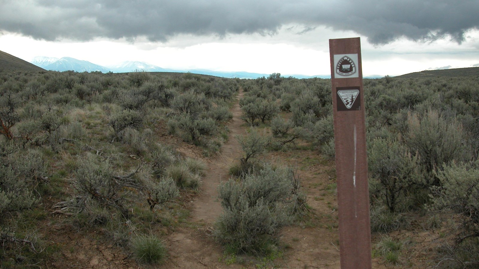 A hallowed ditch runs through a high desert landscape dotted with sage colored shrubs. 