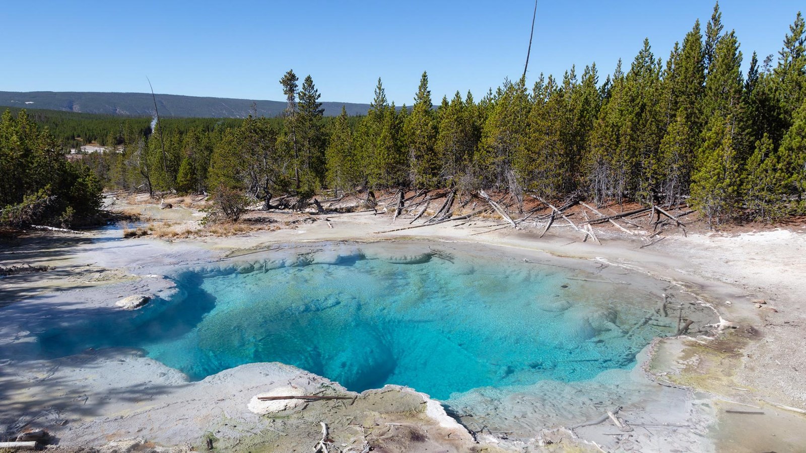 A crystal clear, light blue hot spring sits in a hydrothermal basin surrounded by trees.