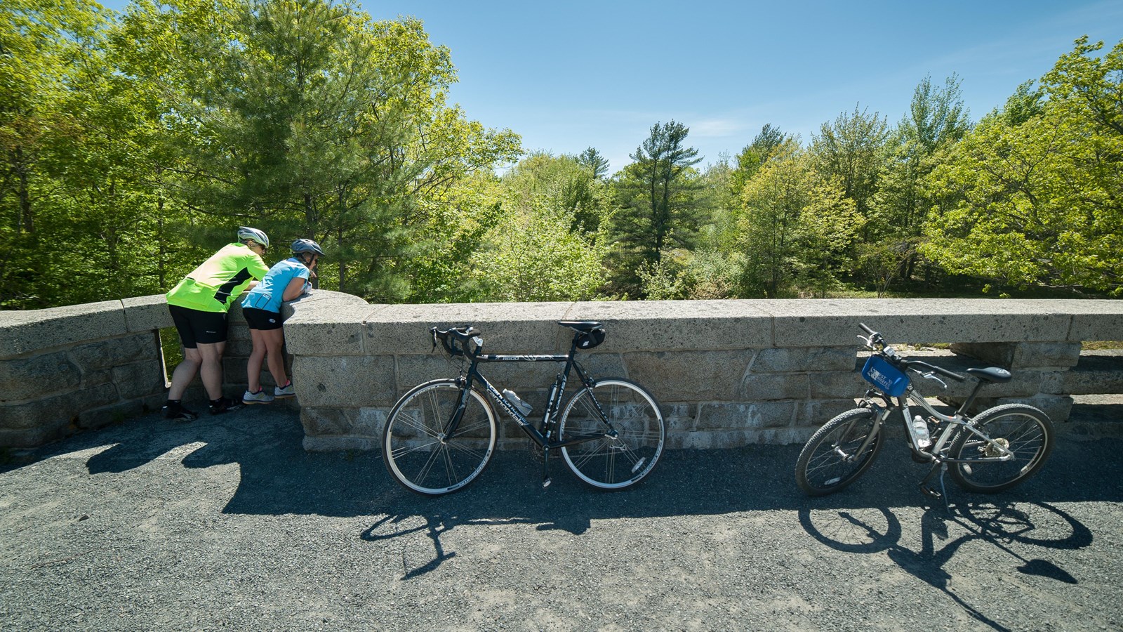 Two cyclists pause at the stone parapet of an Acadia carriage-road bridge.