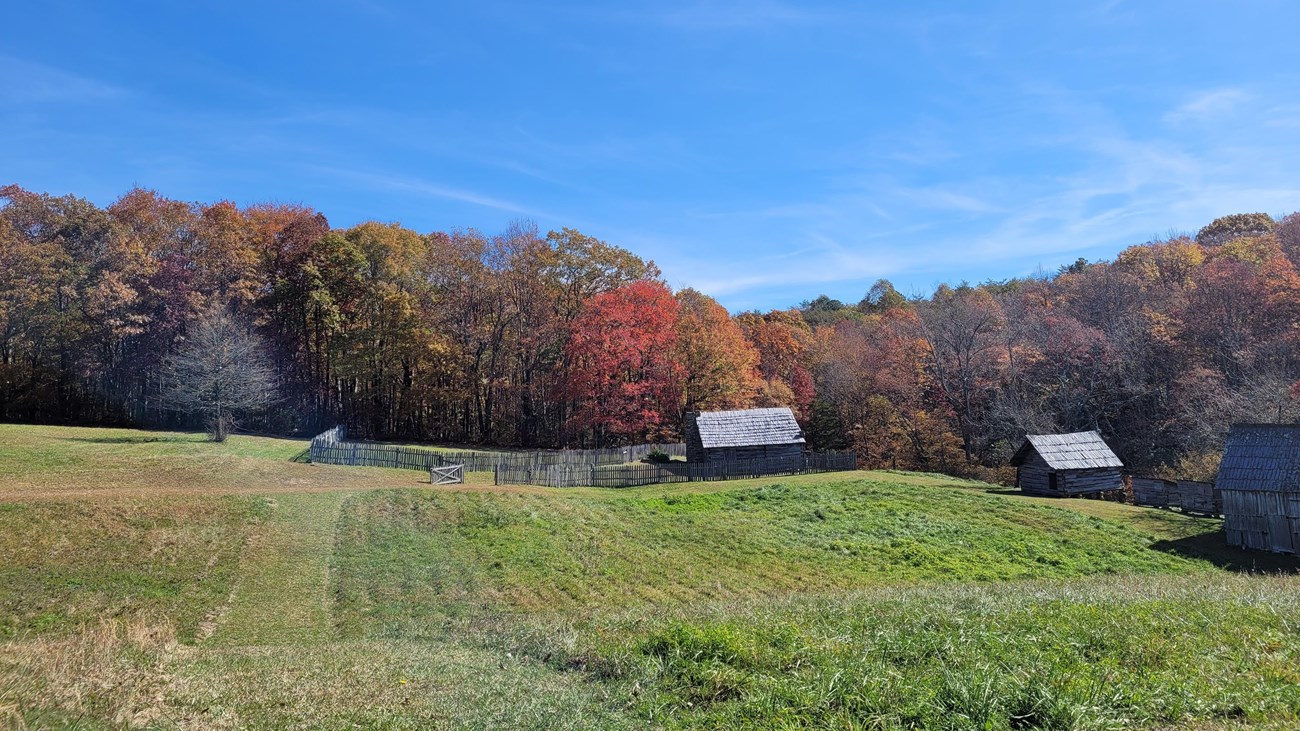 several wooden cabins nestled among trees displaying fall colors.
