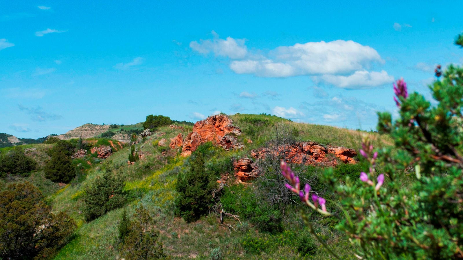 A view of the green badlands, seen from the edge of a clinker cliff. Purple flowers bloom nearby.