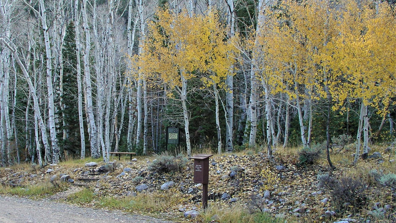 Gravel road with interpretive sign in the distance with aspens trees changing colors