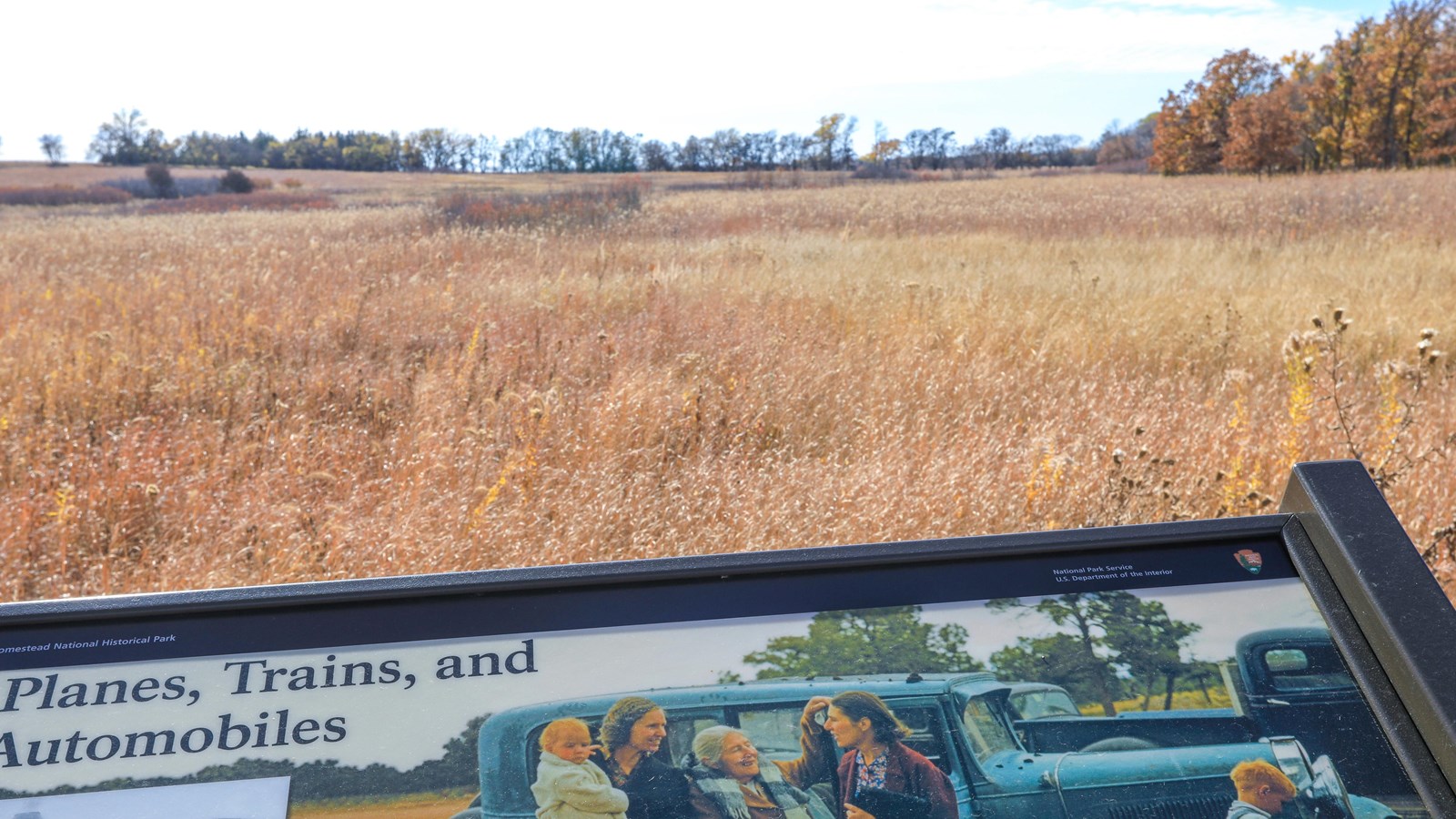 Prairie grasses backed by a hedgerow and forest with an informational sign in front.