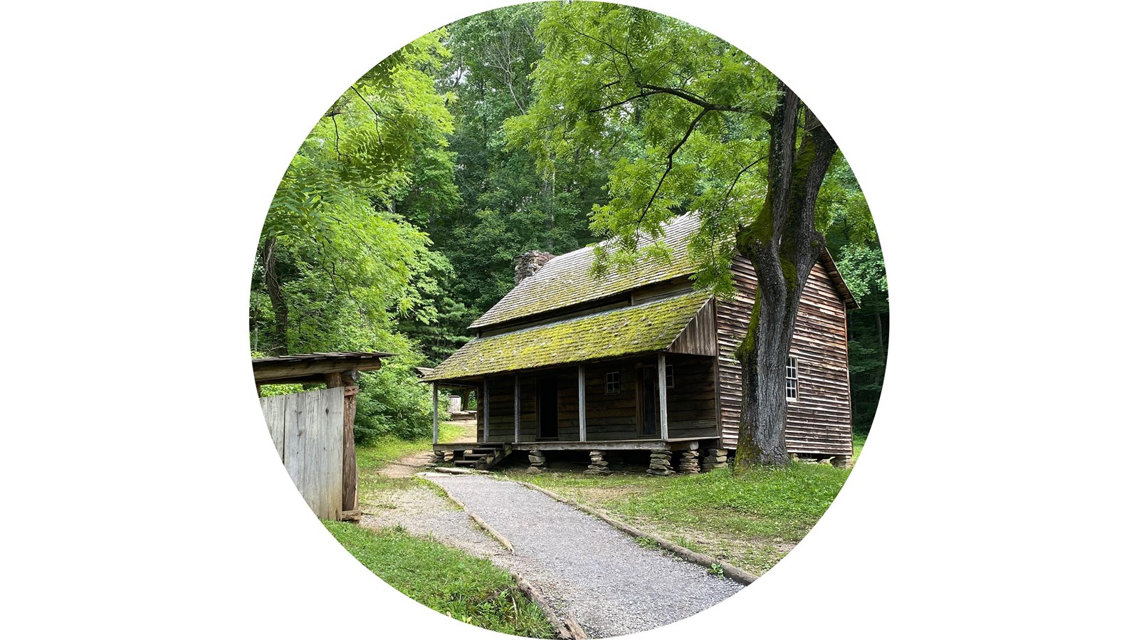 A wood-sided house with a large porch and a woodshed sit up a gravel path with a forested backdrop.