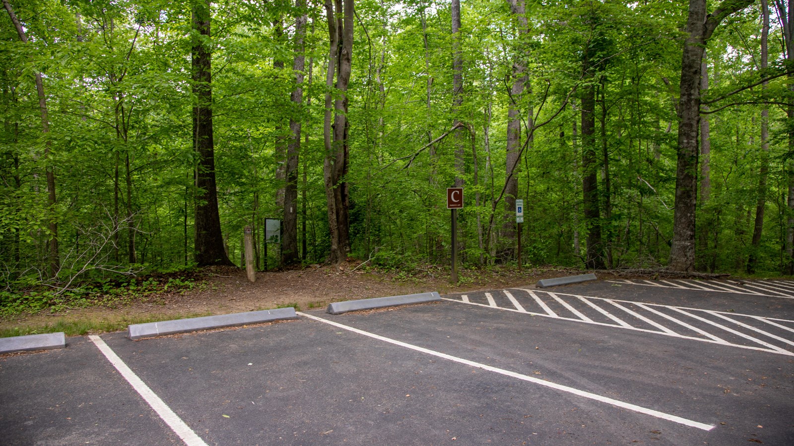 A brown sign with the letter C on it is posted next to a dirt trail that goes into the woods.