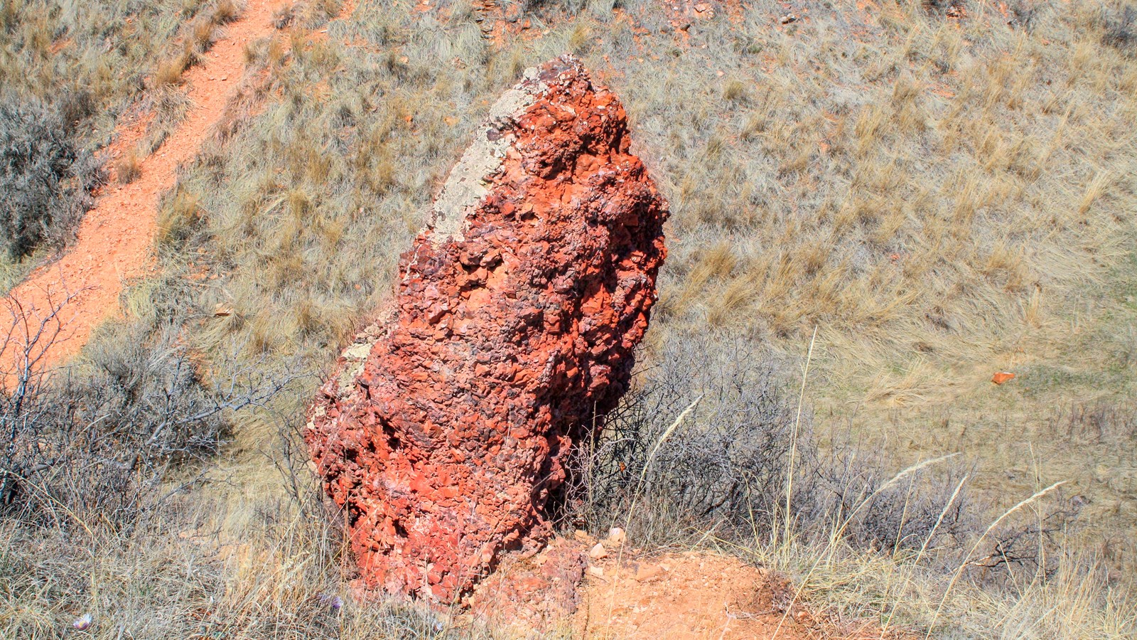 A column of red rock, partially covered in lichen, rises from the end of a short trail.